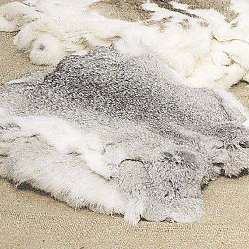 Natural Chinchilla Rabbits